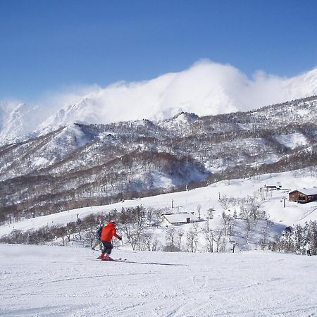 Hotel Cerulean Alpine Otari Kültér fotó